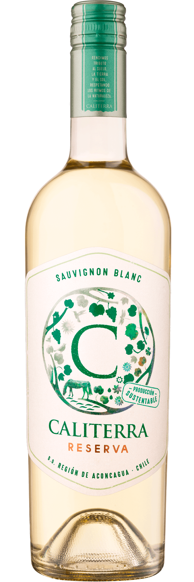 Caliterra Sauvignon Blanc Reserva 2023